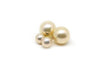 Front and Back Champagne Pearl Earrings-Kyllonen