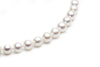 Large Freshwater Pearl Necklace Close up by Kyllonen