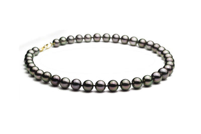 AAA Peacock Black Pearl Necklace